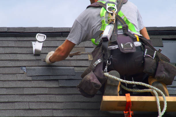 Best Roof Gutter Cleaning  in Sterling, AK
