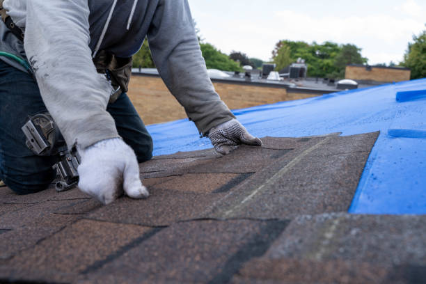 Best Flat Roof Repair Services  in Sterling, AK